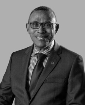 Mr. Segun Adebanji